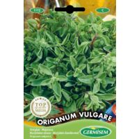 Germisem Origanum Vulgare Semi di Poiree 1 g