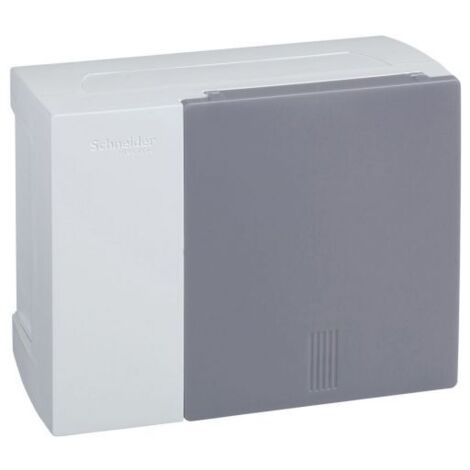 Centralita mural Schneider 6 módulos IP40 BIA/FUME MIP10106T