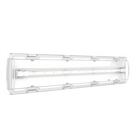 Lámpara de emergencia Schneider SE RILUX T5 LED IP65 4PB 39566