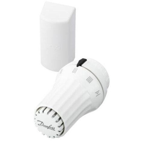 Tête thermostatique liquide bulbe à distance RAE 5056 (1/3)