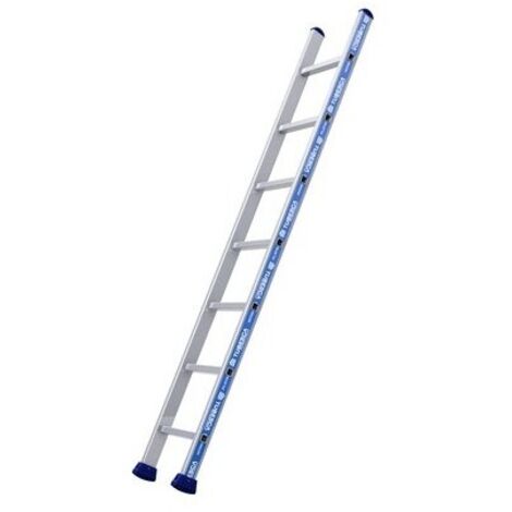 [JAMAIS UTILISE] Échelle Simple Droite Aluminium TUBESCA Platinium 7 Marches Hauteur d'Accès Maximum 3.03m - 02410207