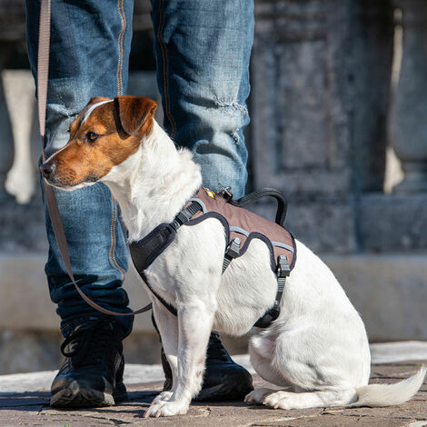 Ferplast ERGOTREKKING P Harnais pour chien ergonomique anti-évasion et réfléchissant. Six fermetures avec micro-ajustement.. Variante SMALL - Misure: A: 32-42 cm B: 46-56 cm C:  42-52 cm L 20 cm - Noi