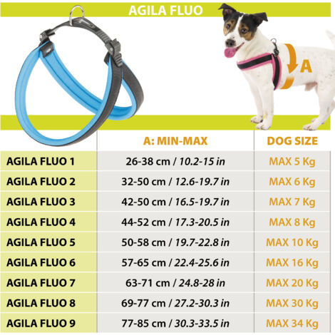 Ferplast AGILA FLUO 1-2 Harnais ergonomique pour chiens avec rembourrage moelleux. Fermeture avec cordonnet.. Variante 2 - Misure: A=B 32-50 cm 15 mm - Bleu