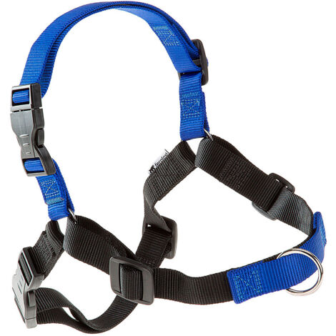 Ferplast COACH P Harnais de dressage pour chiens avec système d'accrochage avant. Deux couleurs.. Variante L - Misure: A: 33-43 cm B: 64-91 cm 20 mm - Bleu (1/5)
