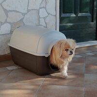 Ferplast KENNY Niche pour chiens en résine thermo-plastique - 5 tailles. Variante KENNY MINI - Mesures: 40 x 66 x h 40 cm -