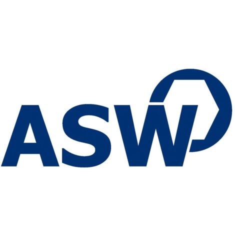 ASW 70063 Steckschlüsseleinsatz Lang Mit Federmagnet – 1/4 Zoll Antrieb, 6-kant 13 Mm, Aus Vergütetem Stahl
