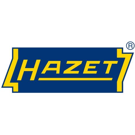 HAZET Ersatzteil-Satz 798-03/6 – 2 Haltebolzen + 2 Sicherungsscheiben Für Druckluft-Knarre 798-3
