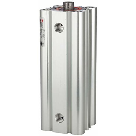 RIEGLER Rundzylinder 25mm Kolben-Ø 50mm Hub - Doppeltwirkend Mit Magnet