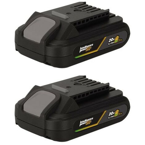 Pack 2 Batteries Lithium 20V 2Ah Gamme sans fil EGO LI VITO (1/3)