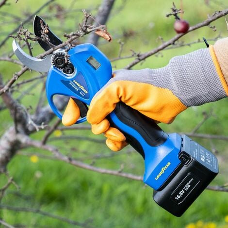 Sécateur électrique - Sécateur électrique professionnel 30 mm avec 2  batteries 21 V/2000 mAh - Sécateur sans fil pour jardinage, vigne, arbre  fruitier : : Jardin