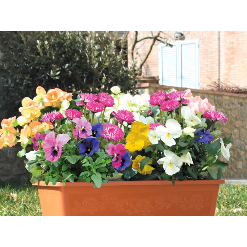 Siena Garden Sottovaso per fioriera, 60 cm, Terracotta, 57 cm
