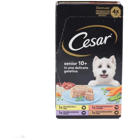 CESAR VASCHETTE IN GELATINA MULTIPACK SENIOR 10+ 4 X 150 GR