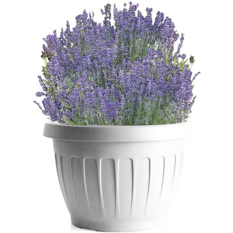 BAMA VASO DA TERRA IN PLASTICA ROTONDO 40 CM COLORE BIANCO (1/10)