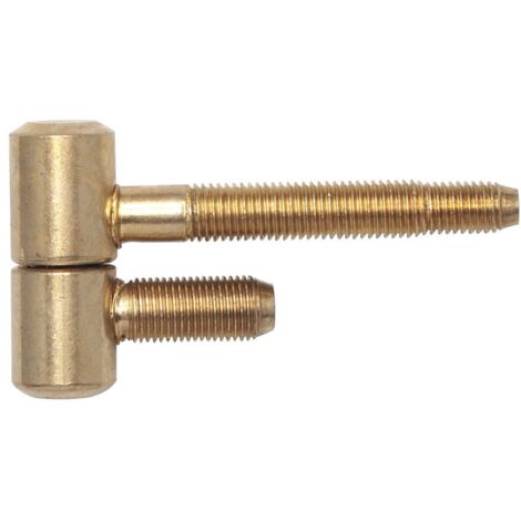 SFS Stahlzargenband 2-tlg. Band 16x41mm,Stahl vermessingt