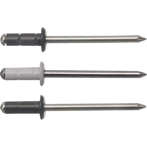 Mehrbereichsniete FRK 4.0x 9.5 Aluminium mit Edelstahldorn RAL7016 anthrazit (1/5)