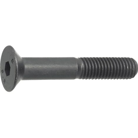 ISO10642  08.8 M12x 20 blank Senkschraube mit Innensechskant (DIN7991)