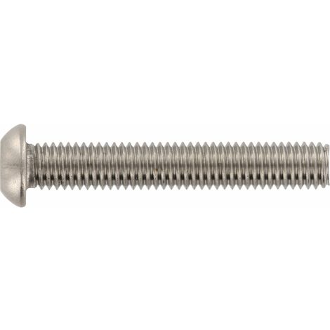 Sicherheitsschrauben Torx mit Pin + ISR M4x12 TX20 Flachrundkopf Schrauben, Edelstahl A2 - 100 Stück (1/4)
