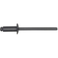 ISO15977 Blindniete Flachrundkopf 3.2x 8 Aluminium mit Stahldorn RAL9005 schwarz
