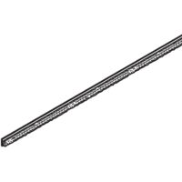 Vitris Atrivant 80 Bürstenleiste einschiebbar Glas 10mm grau 6000mm