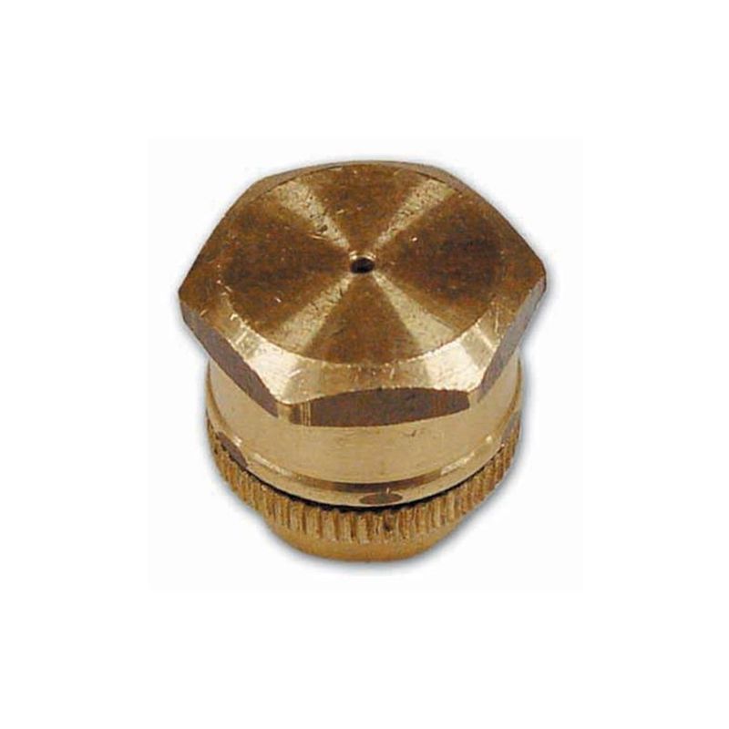 GETTO MERIDIONALE A ROSA X LANCIA OTTONE 1/2-3/8F