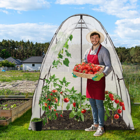 Sekey Folientunnel Gewächshaus Groß 180x180x200cm, Begehbar Tomatengewächshaus Stabil Winterfest, Foliengewächshaus für Tomaten, Weiß (1/5)