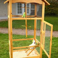 Cage de volière Cage d'oiseau Cage de perroquet