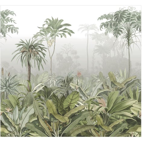 Papier peint panoramique Brume tropicale d'un matin dans la Jungle 300 x 280cm Vert, Gris