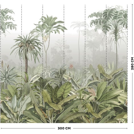 Papier peint panoramique Brume tropicale d'un matin dans la Jungle 300 x 280cm Vert, Gris