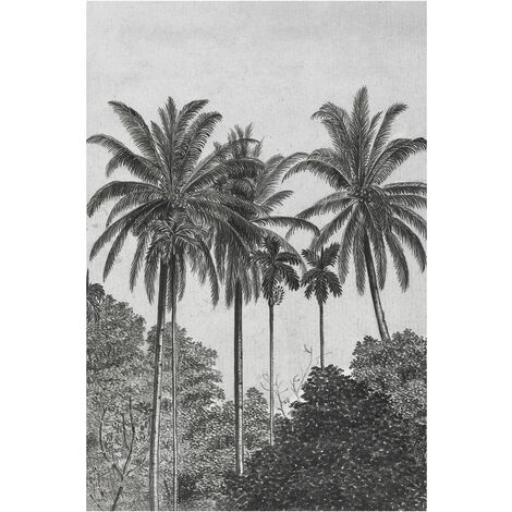 Papier Peint panoramique Palmiers Gravure 280 x 200cm Gris, Noir