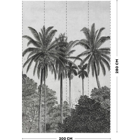 Papier Peint panoramique Palmiers Gravure 280 x 200cm Gris, Noir