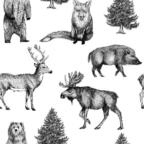 Papier peint intissé Animaux de nos forêts Vinyle 1005 x 52cm Blanc, Noir
