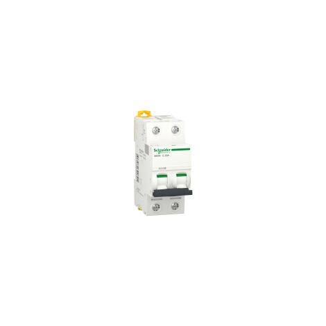 Disjoncteur magnéto-thermique bipolaire Schneider 20A (1/4)