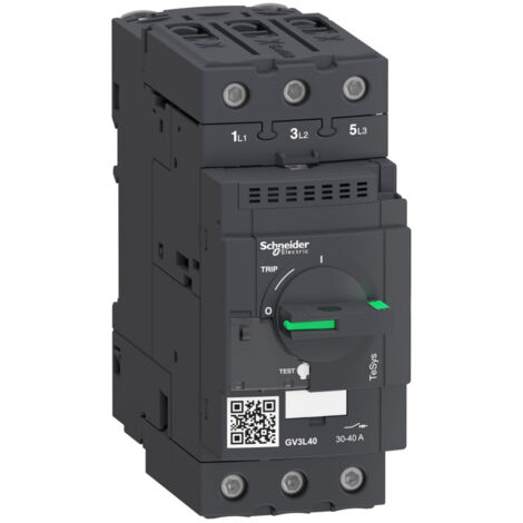 Schneider GV3L40 Disjoncteur magnétique 3P TeSys 40A (1/3)