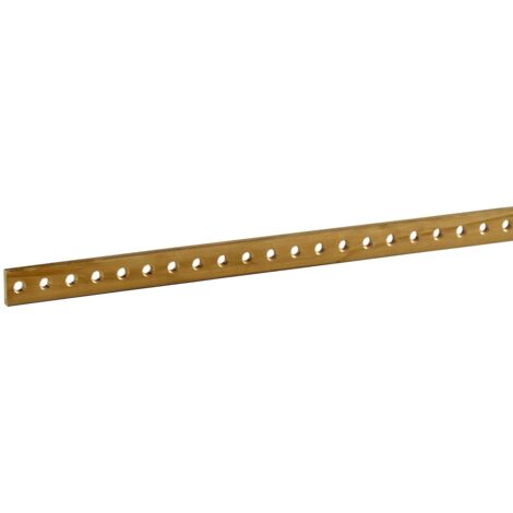 Schneider Electric – Barre cuivre collecteur masse 1000mm – 87 points de connexion – Durabilité Green Premium RoHS – Pour applications mise à la terre - NSYECB1M153