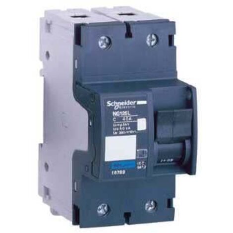 Disjoncteur modulaire Multi 9 - NG125L - 2 pôles - 25 A - courbe D - 18842 (1/4)