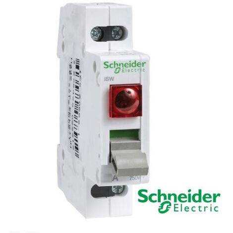Schneider Electric – Interrupteur modulaire 230V 2P 20A avec voyant lumineux – Protection contre surintensités – A9S61220