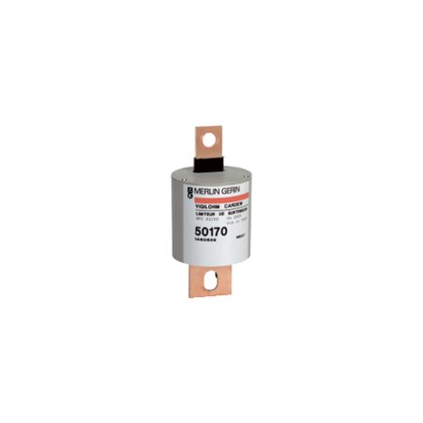 Schneider Electric – Limiteur de surtension 440V – 40kA de coupure – Pour réseaux non mis à la terre – Vigilohm Cartouche Cardew