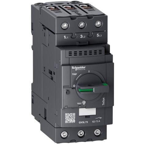 TeSys GV - disjoncteur magnétique - 73A - 3P - Everlink