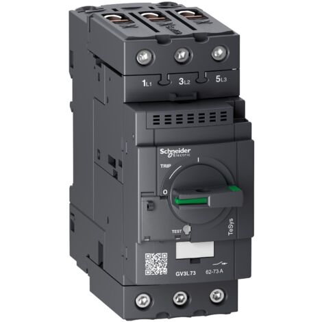 TeSys GV - disjoncteur magnétique - 73A - 3P - Everlink