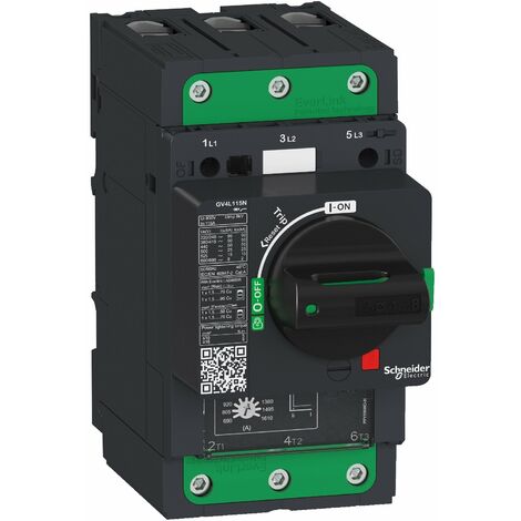 TeSys GV - disjoncteur magnétique - In 80A - 25kA - Everlink (1/2)