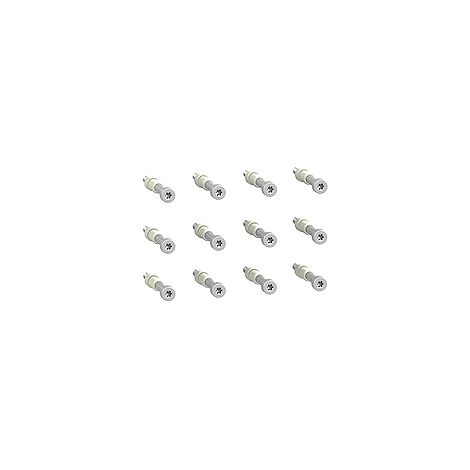 VIS A LIMITATION DE COUPLE (LOT DE 12) ACCESSOIRES COMPACT NSX400/630 3P/4 P - LV432513 (1/3)