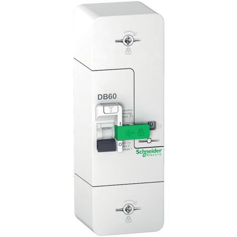 Schneider Electric – Disjoncteur unipolaire 1P+N 500mA 15/30/45A – Courbe de déclenchement instantanée – Pour installations électriques – R9FT645
