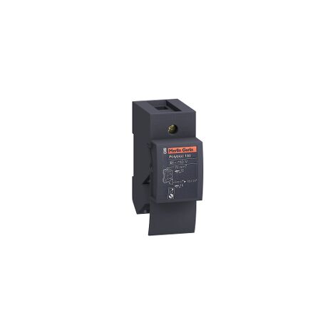 Linergy DX - Répartiteur - 1P - 160 A (Polybloc) - LVS04031