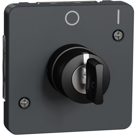 Schneider Electric – Interrupteur à clé 2 positions IP55 – Protection contre la poussière et l'eau – Couleur gris – Installation facile avec boîte