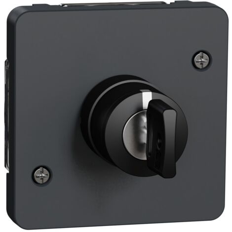 interrupteur à clé - 3 positions - gris - composable - mureva styl - schneider electric mur35061