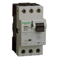 P25M - disjoncteur moteur - 14A - 3P 3d - déclencheur magnéto-thermique - 21110