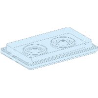 PrismaSeT G Active - Plaque passe-câbles montage direct - 2 entrées - LVS08899