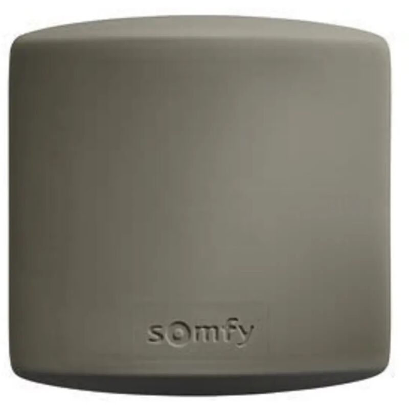 Somfy Recepteur Standard Etanche Rts