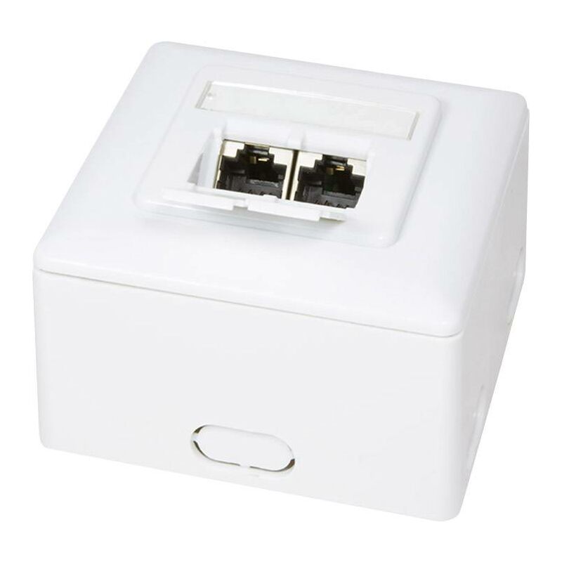 Prise réseau montage apparent (en saillie) CAT 6 2 ports LogiLink NP0039A blanc R05569