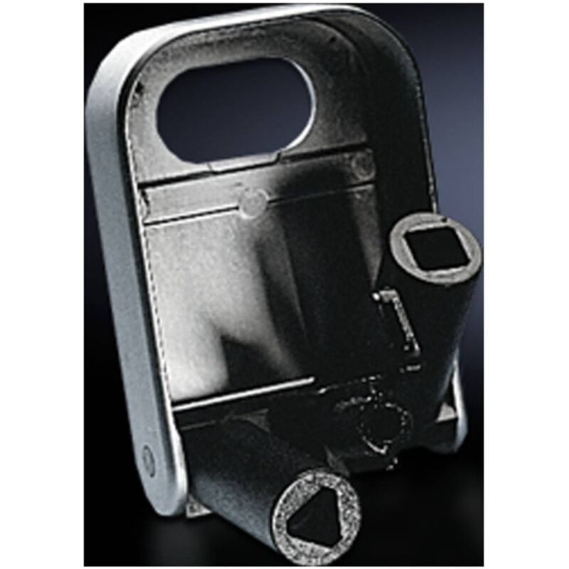 Clé pour armoires de distribution panneton double Rittal 2549.000 acier ...